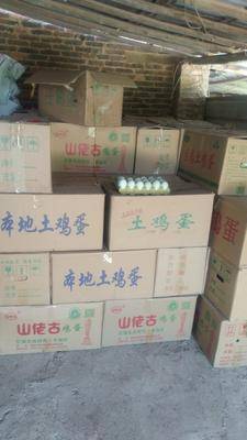紙托綠殼青皮鴨蛋 優(yōu)質(zhì)食用農(nóng)產(chǎn)品的批發(fā)優(yōu)選