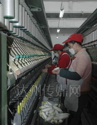 玉竹麻業(yè)紡紗車間 傳統(tǒng)工藝與現(xiàn)代技術(shù)的交織